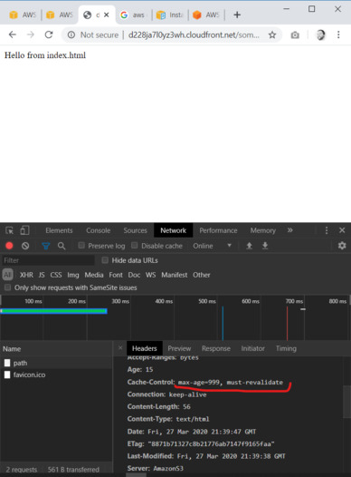 Cache headers in browser